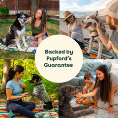 Pupford Super Pup: uso diario sencillo.