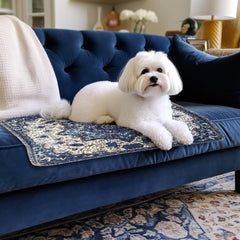 PUPIBOO núcleo ultra-absorbente captura líquidos rápidamente