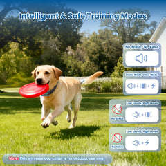 Collar IPX7 de PUPKIDS, impermeable y cómodo para perros.