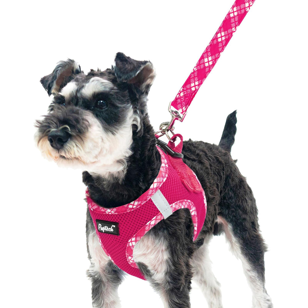 PUPTECK arnés de paso con malla ligera para paseos cómodos.