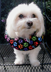Puppy Bumpers collar relleno para perro, evita el paso por huecos de la cerca.