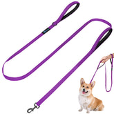 PuppyDoggy correa 6 ft morada para paseos y control cómodo.