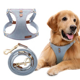 Arnés Puppytie grande, vista frontal, cómodo y seguro para paseos.