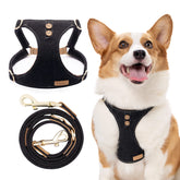 Arnés Puppytie para perro mediano, cómodo y ergonómico para paseos diarios.