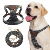 Puppytie arnes perro vista frontal, ajuste cómodo para paseos diarios