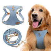 Puppytie arnés para perro grande con ajuste seguro para paseos