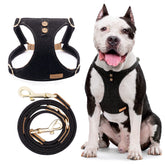Arnés Puppytie para perro grande con cierre clip para paseo seguro