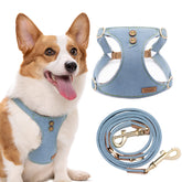 Arnés Puppytie para perro mediano con ajuste cómodo y seguro.