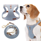 Arnés Puppytie para perro mediano con diseño ligero ideal para paseos
