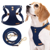 Arnés Puppytie para perro mediano con ajuste ergonómico y cómodo.