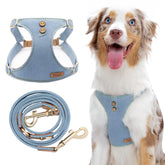 Puppytie arnés para perro medio Azul glaciar frontal: ajuste cómodo para paseos seguros.