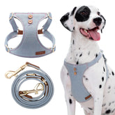 Puppytie arnés perro seguro para paseos con mayor control.