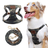 Puppytie arnés para perros sin tirar con ajuste, ideal para paseos tranquilos