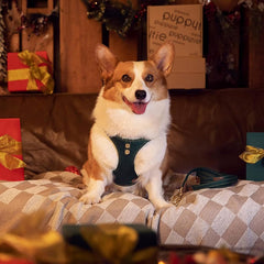 Arnés Puppytie con tejido Oxford suave y cómodo para movilidad