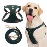 Arnés Puppytie para perro grande con diseño robusto y cómodo para paseos
