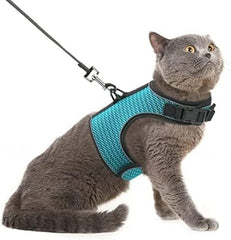 PUPTECK Arnés de malla suave para gatos, vista frontal, comodidad al caminar.