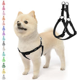 PUPTECK arnés sin tirones visto frontal, control suave para paseo.