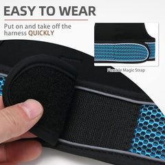 PUPTECK Correa ajustada azul lago, ideal para paseos seguros.