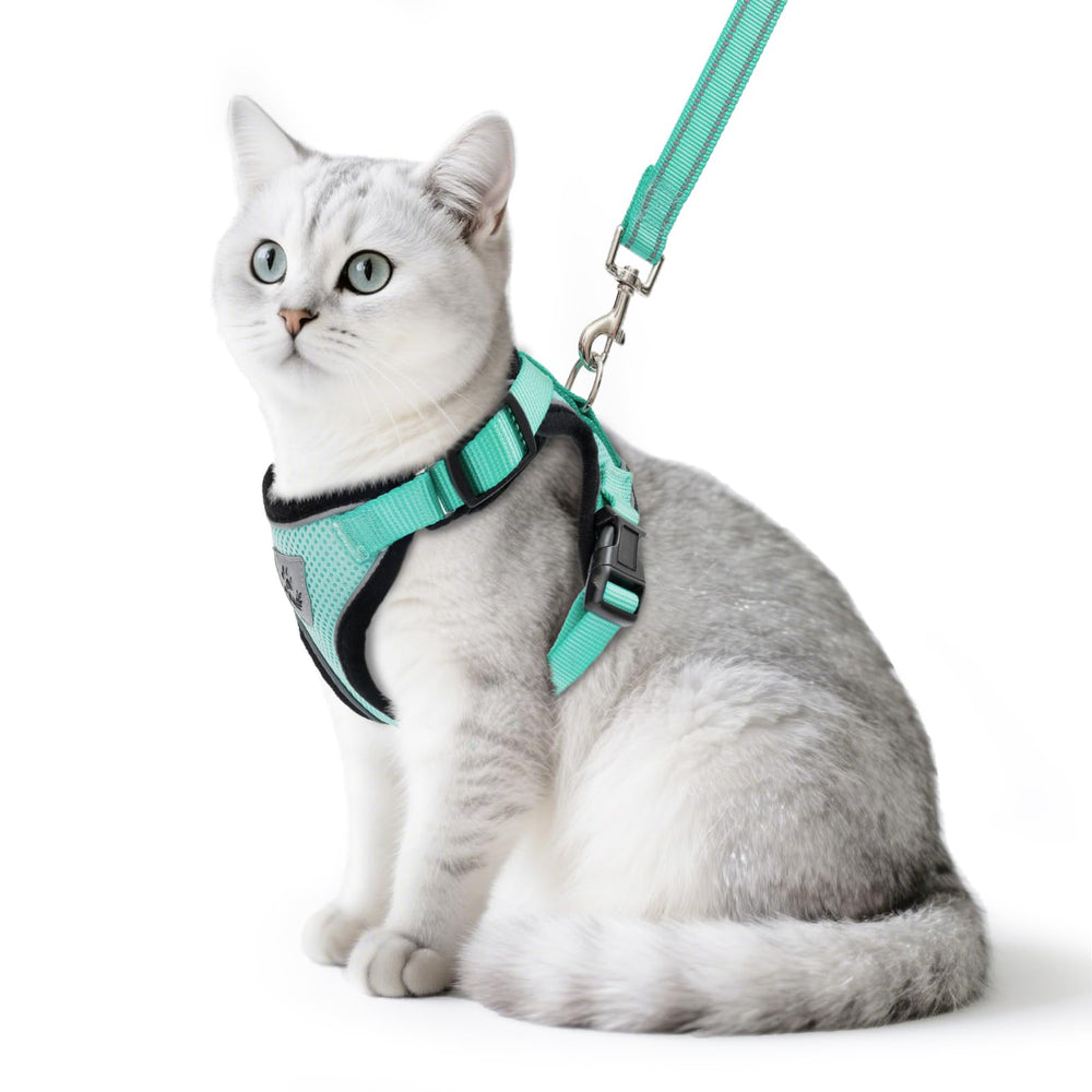 PUPTECK arnés para gato a prueba de escape, ideal para paseos seguros
