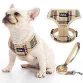 PUPTECK arnés malla suave talla S, cómodo y ligero para paseos diarios