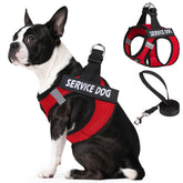 Arnés PupTech con diseño de paso para perro pequeño, fácil de poner y quitar.