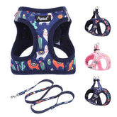 Arnés PUPTECK con diseño paso-frente y malla transpirable para comodidad diaria.
