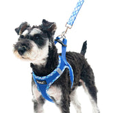 PUPTECK arnés para perro, malla suave azul, comodidad al aire libre