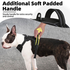 PUPTECK arnés con anillos en D traseros para libertad y control.
