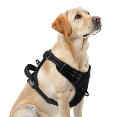PUPTECK arnés sin tracción frontal con anillos en D para guiar sin tirones.