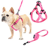 PUPTECK arnés sin tirones con confort para paseos suaves.