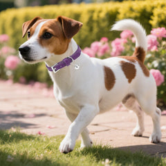 PUPTECK collar de cuero suave en púrpura oscuro con campanita
