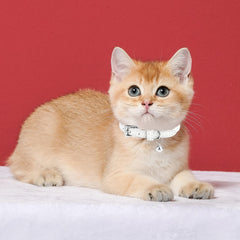 PUPTECK collar cuero suave verde oscuro para gato, detalle de hebilla duradera.