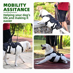 PUPTECK mango de asistencia para mover al perro con seguridad