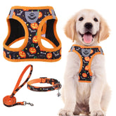 PUPTECK arnés ajustable con collar y correa para paseo cómodo.