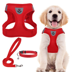 Arnés PUPTECK ajustable, cómodo para paseos diarios.