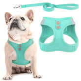 PUPTECK arnés canino vaquero verde XS frente, cómodo y ligero para paseos diarios.