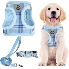 PUPTECK arnes-collar-y-cuerda-ajuste: paseo suave y control sin tirones.