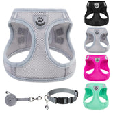 Conjunto PUPTECK: arnés y correa para paseos cómodos