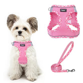 PUPTECK arnés paso-para-perro vista frontal, ligero y cómodo.