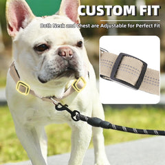 Arnés PUPTECK con doble anilla frontal para entrenamiento y paseo