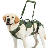 PUPTECK arnés elevación para perro: correas traseras para subir escaleras con apoyo.