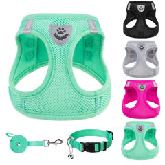 Arnés PUPTECK paso de entrada, fácil de colocar para paseos diarios.