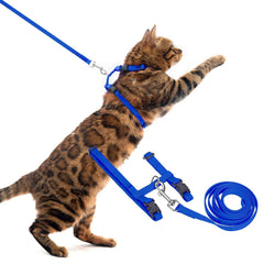 PUPTECK arnés gato ajustable para paseos cómodos y seguros en azul.