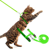 PUPTECK arnés gato: primer plano de hebilla segura para paseos.
