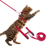 Arnés PUPTECK para gato ajustable, cómodo para paseos diarios.