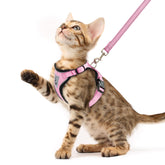 PUPTECK arnés-gato-ajustable para paseos cómodos y seguros