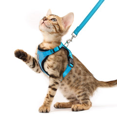 PUPTECK arnés gato con ajuste de 4 puntos para mayor comodidad.