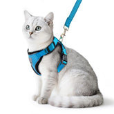 PUPTECK arnés para gato con ajuste de cuatro puntos para paseo cómodo
