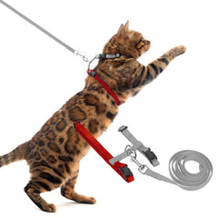 PUPTECK arnés gato ajuste para paseos cómodos y seguros.