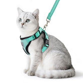 PUPTECK arnés gato a prueba de escapes para paseos seguros.